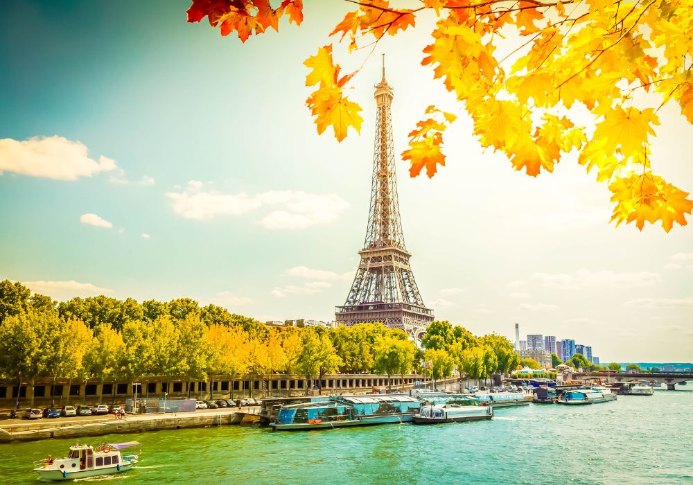 Untitled design (47)